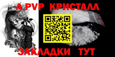 индика Кингисепп