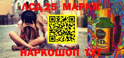 индика Кингисепп