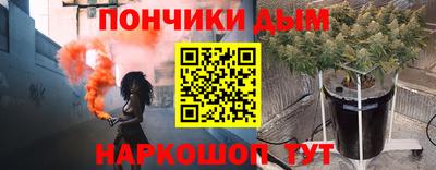 индика Кингисепп
