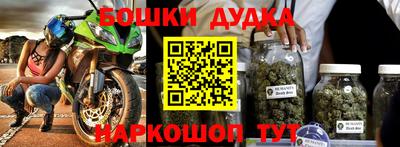 индика Кингисепп