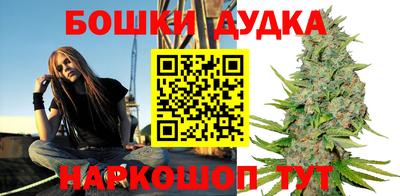 индика Кингисепп