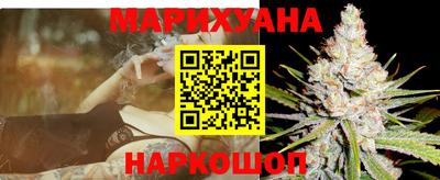 индика Кингисепп