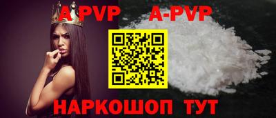 индика Кингисепп