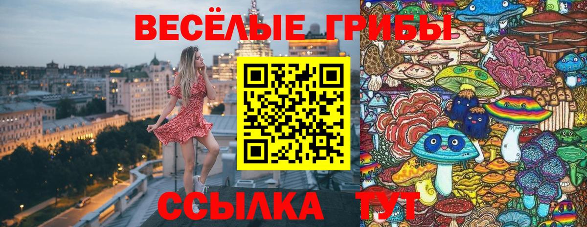 Галлюциногенные грибы Magic Shrooms Кудымкар