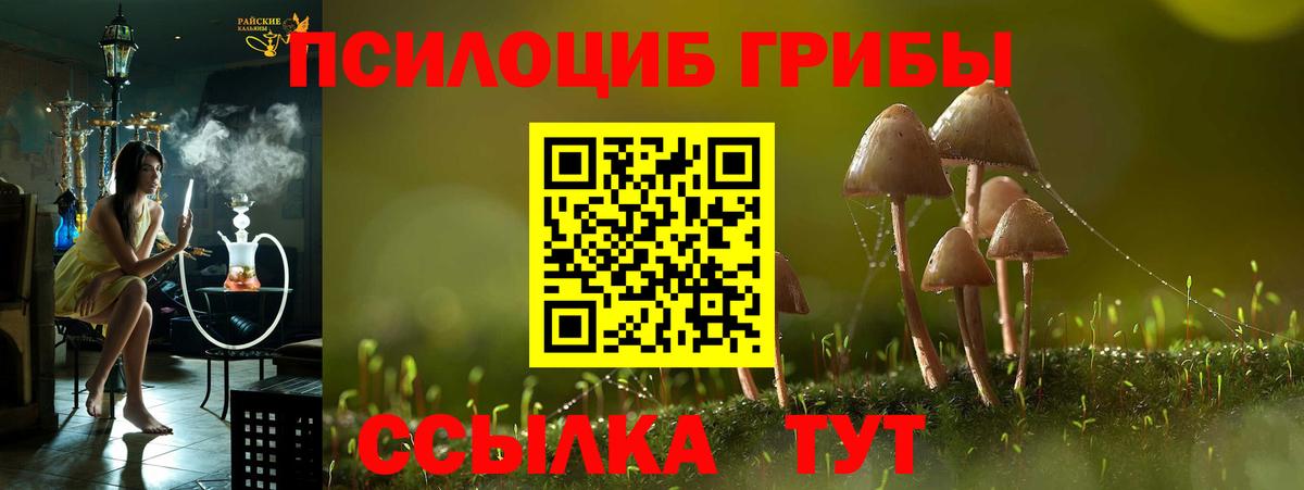 Галлюциногенные грибы Кудымкар