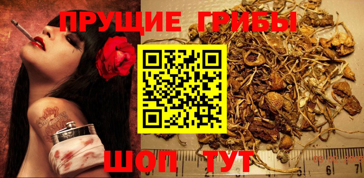 Кудымкар  Псилоцибиновые грибы мухоморы  Вход с VPN 